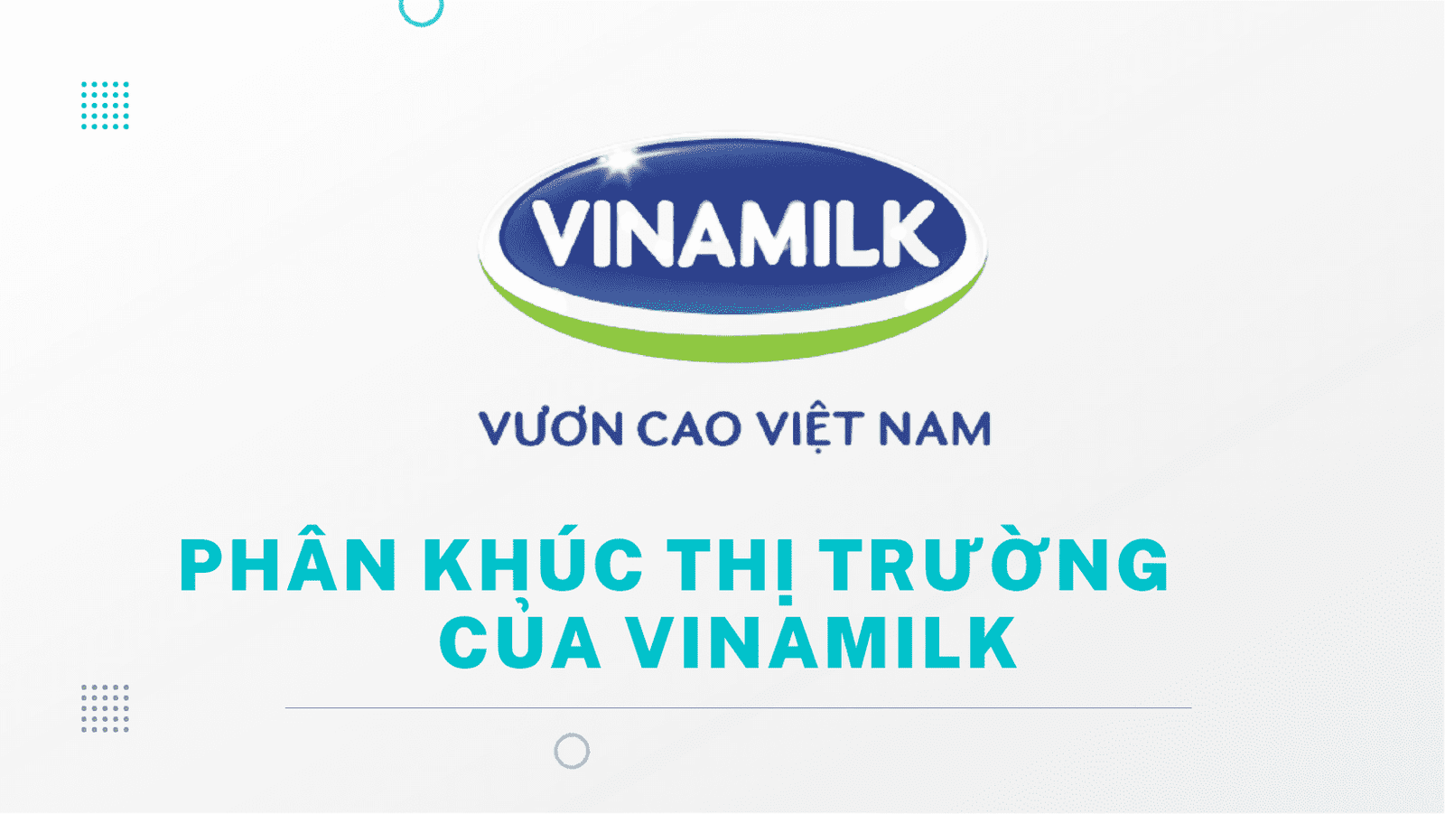 phân khúc thị trường của vinamilk